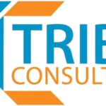 Tribe-Consulting Jobs